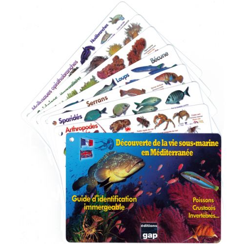 PLAQUETTES IMMERGEABLES Mer Méditérannée PLAQUETTES IMMERGEABLES Mer Méditérannée