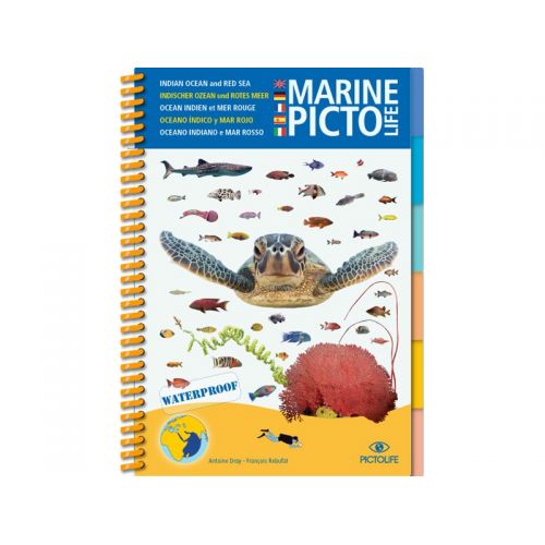 MARINE PICTO LIFE – OCÉAN INDIEN ET MER ROUGE MARINE PICTO LIFE – OCÉAN INDIEN ET MER ROUGE