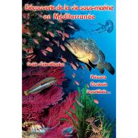 DÉCOUVERTE DE LA VIE SOUS-MARINE OCÉAN INDIEN, MER ROUGE – DÉPLIANT (FR/EN)