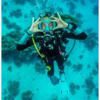 Detendeur MK17 EVO2/G260